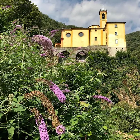 Daire Maggiore By Fewotessin Brissago